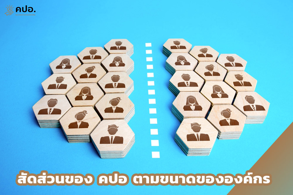 สัดส่วนของ คปอ ตามขนาดขององค์กร